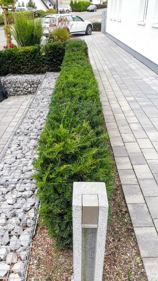 ווינטרברג Apartment Schanzenstrasse 690 M Ue. M מראה חיצוני תמונה